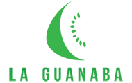Sitio de prueba